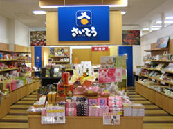 イオンスタイル御所野店